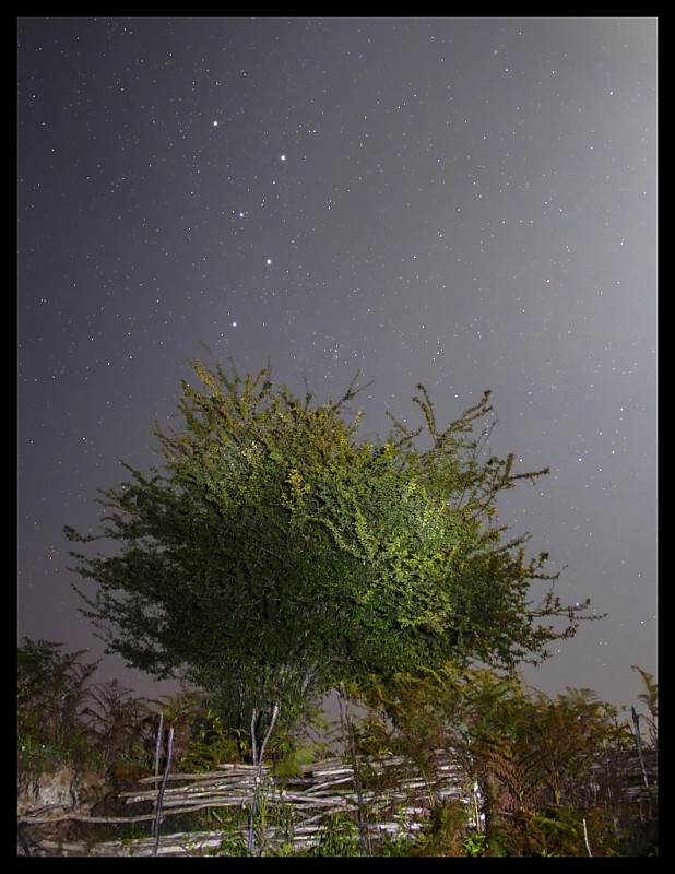 in نجومی ( ميدان ديد باز) عکاس : Mojtaba Gholami زیر نور ماه