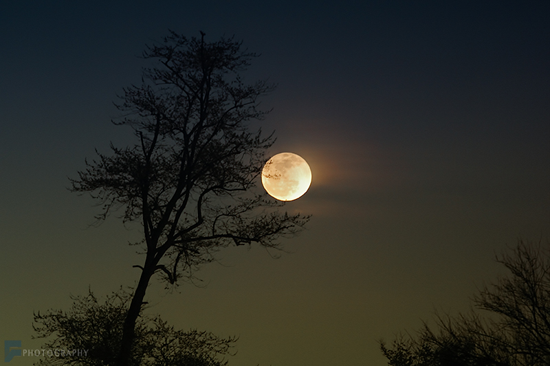 in نجومی ( ميدان ديد باز) عکاس : farshad Moonrise