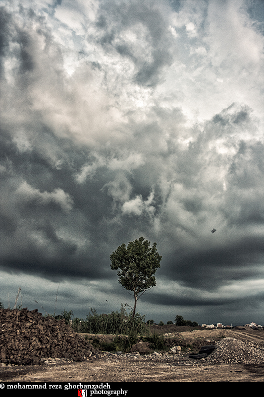 in مناظر عکاس : mohammad_reza skyfall