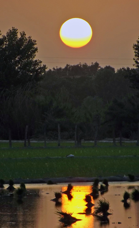 in مناظر عکاس : mohammad_reza sunset