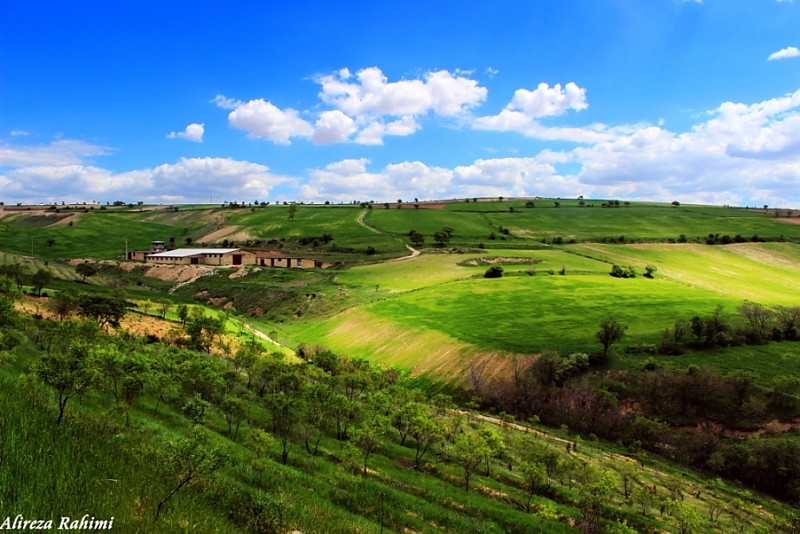 in مناظر عکاس : A.rahimi Green Hill