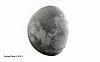 in نجومی (عمق آسمان) عکاس : Fery.JWST Invert Moon