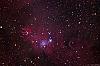 in نجومی (عمق آسمان) عکاس : m-nouroozi Cone Nebula &amp; Christmas Tree Cluster Region!