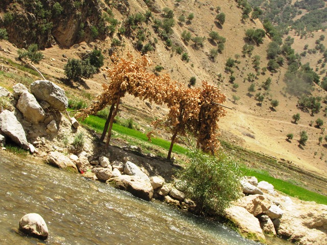 کلبه ای در مسیر رود