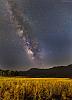 Grain field & The Milky Way